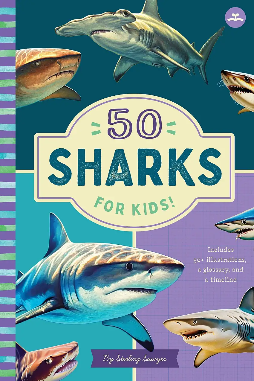 50 Sharks For Kids!
