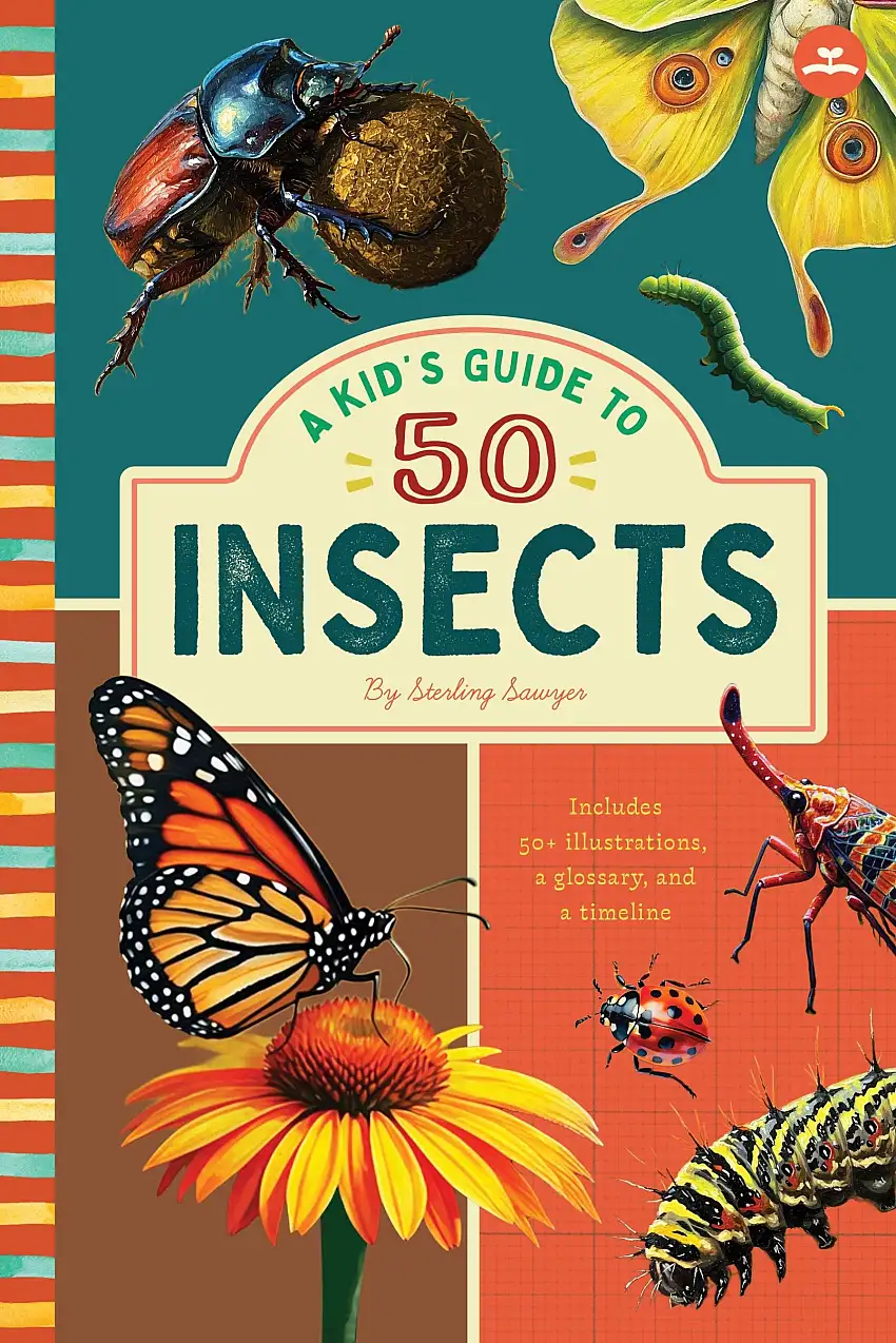 A Kid’s Guide To 50 Insects