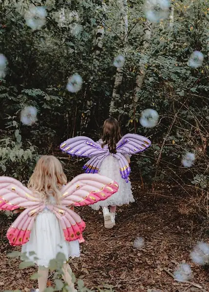 Butterfly Wings Wearable Balloon