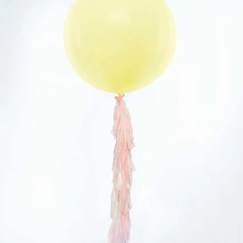 Pink And Yellow Pastel Paper Tassel Tail