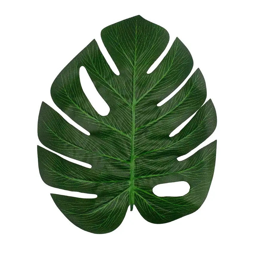 Monstera Tropical Leaves