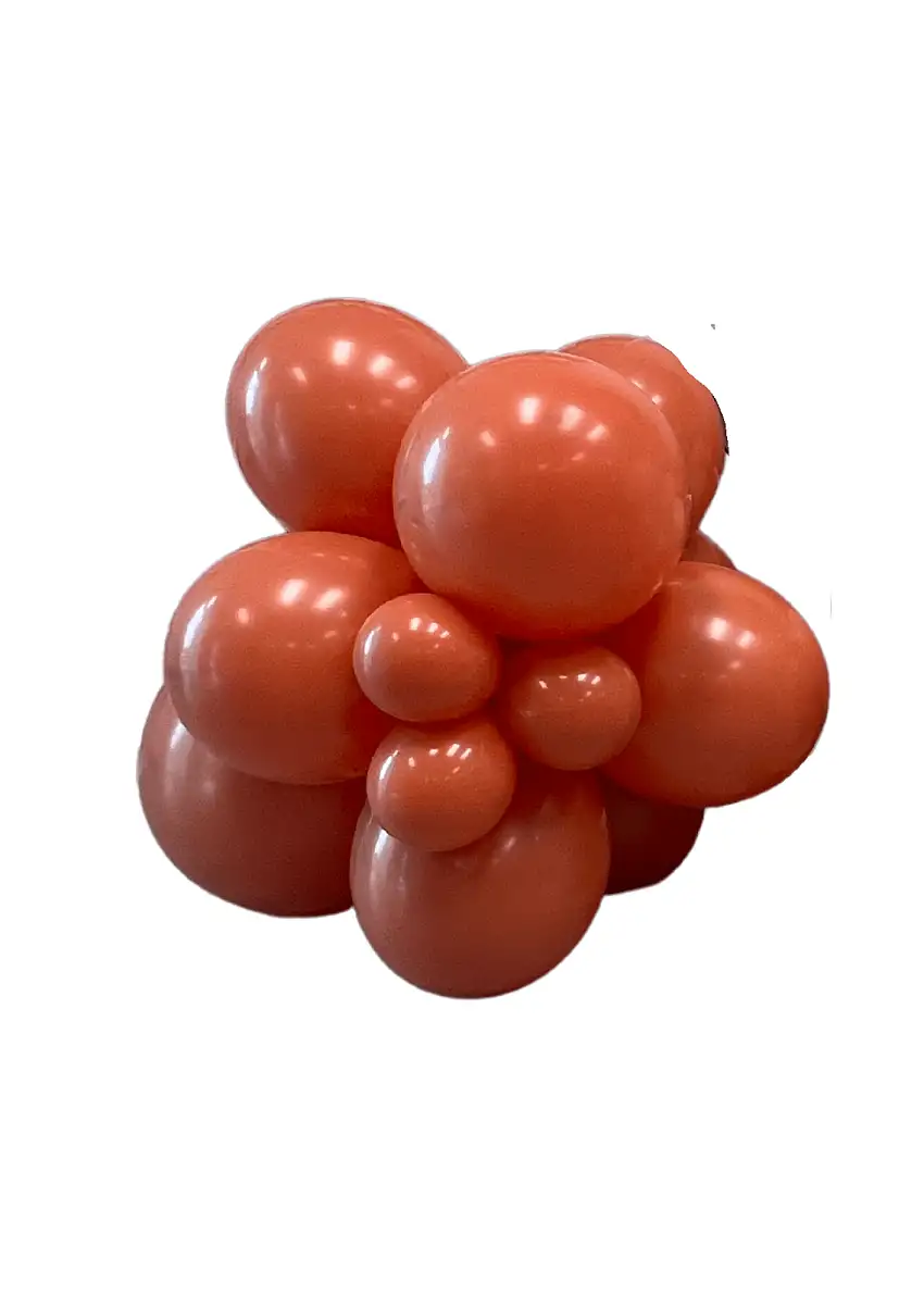 Premium Burnt Orange Terracotta Latex Balloon Cluster (5", 11” And 17”)
